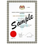 8707 A4 Size Certificate Paper