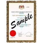 8707 A4 Size Certificate Paper