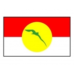  UMNO Flag